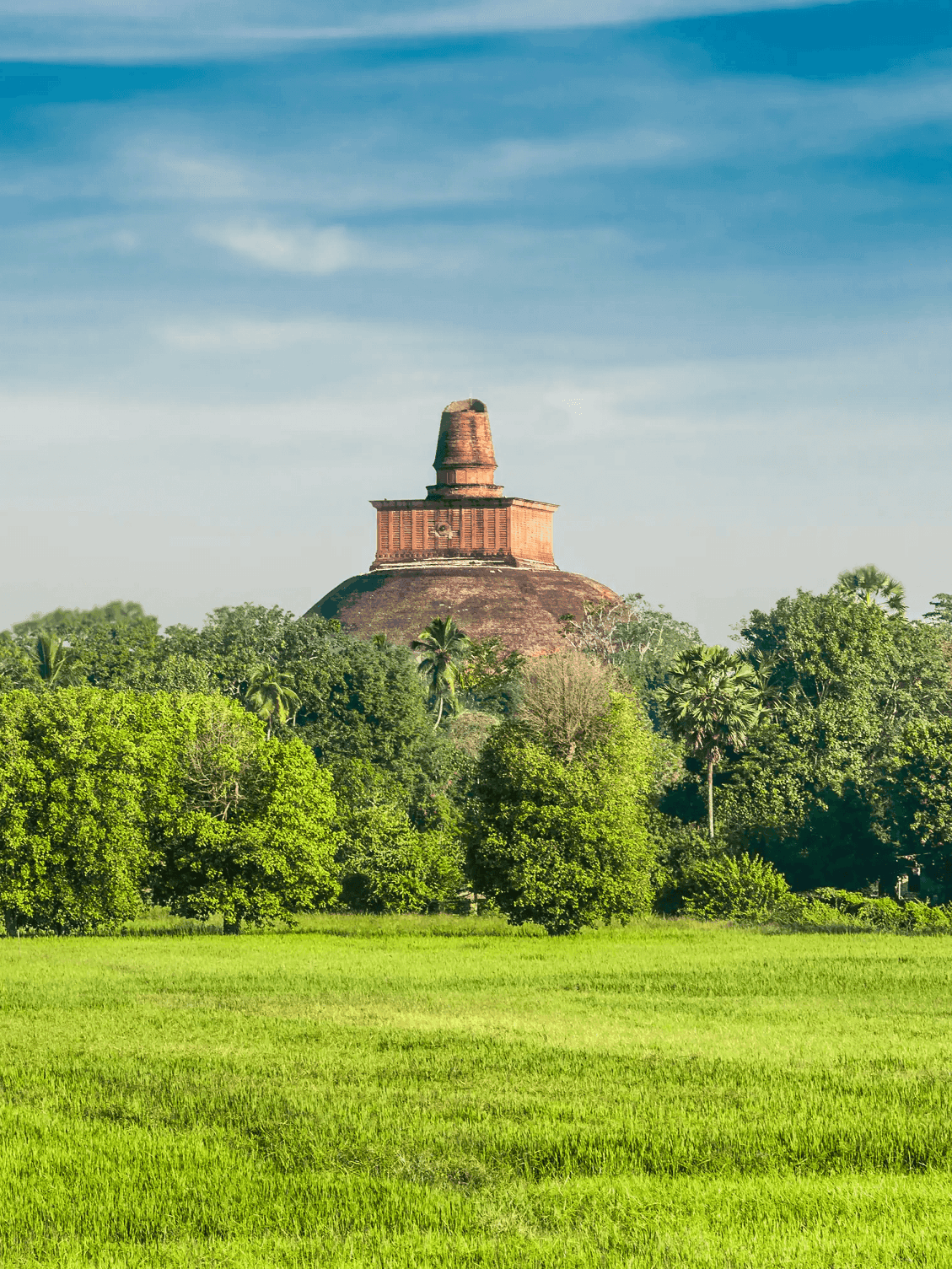 Anuradhapura ruins placeholder