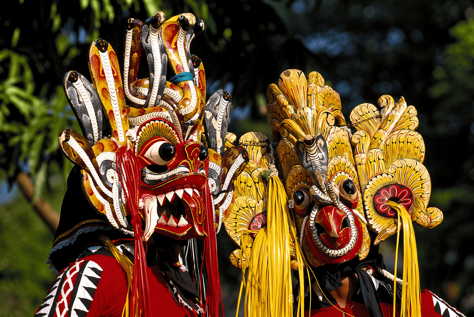 Kolam performance placeholder