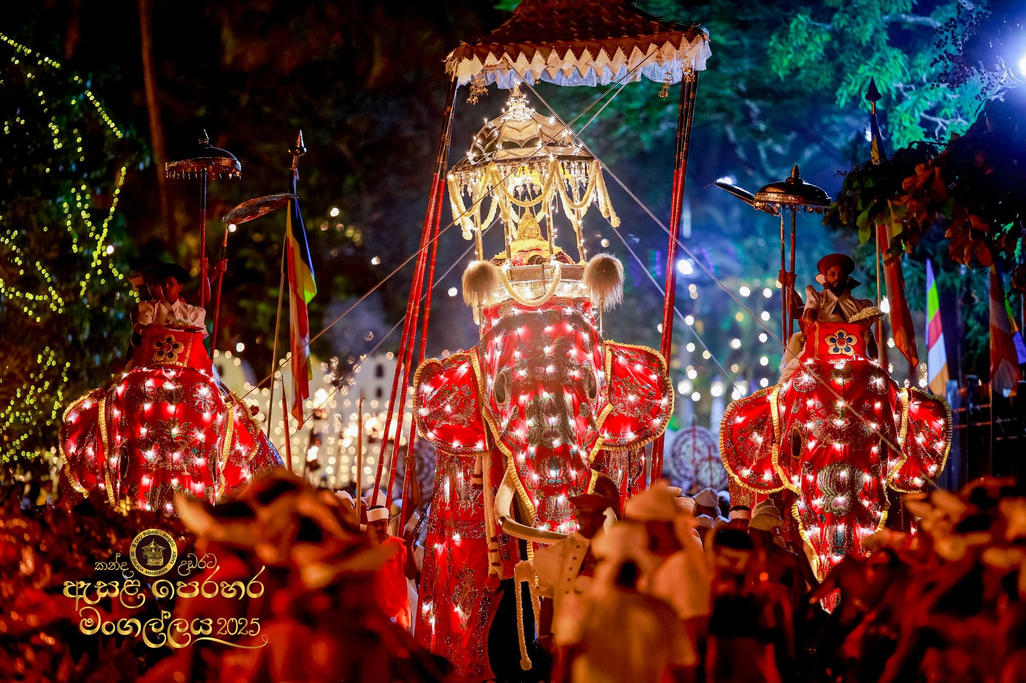 Maligawa Tusker placeholder