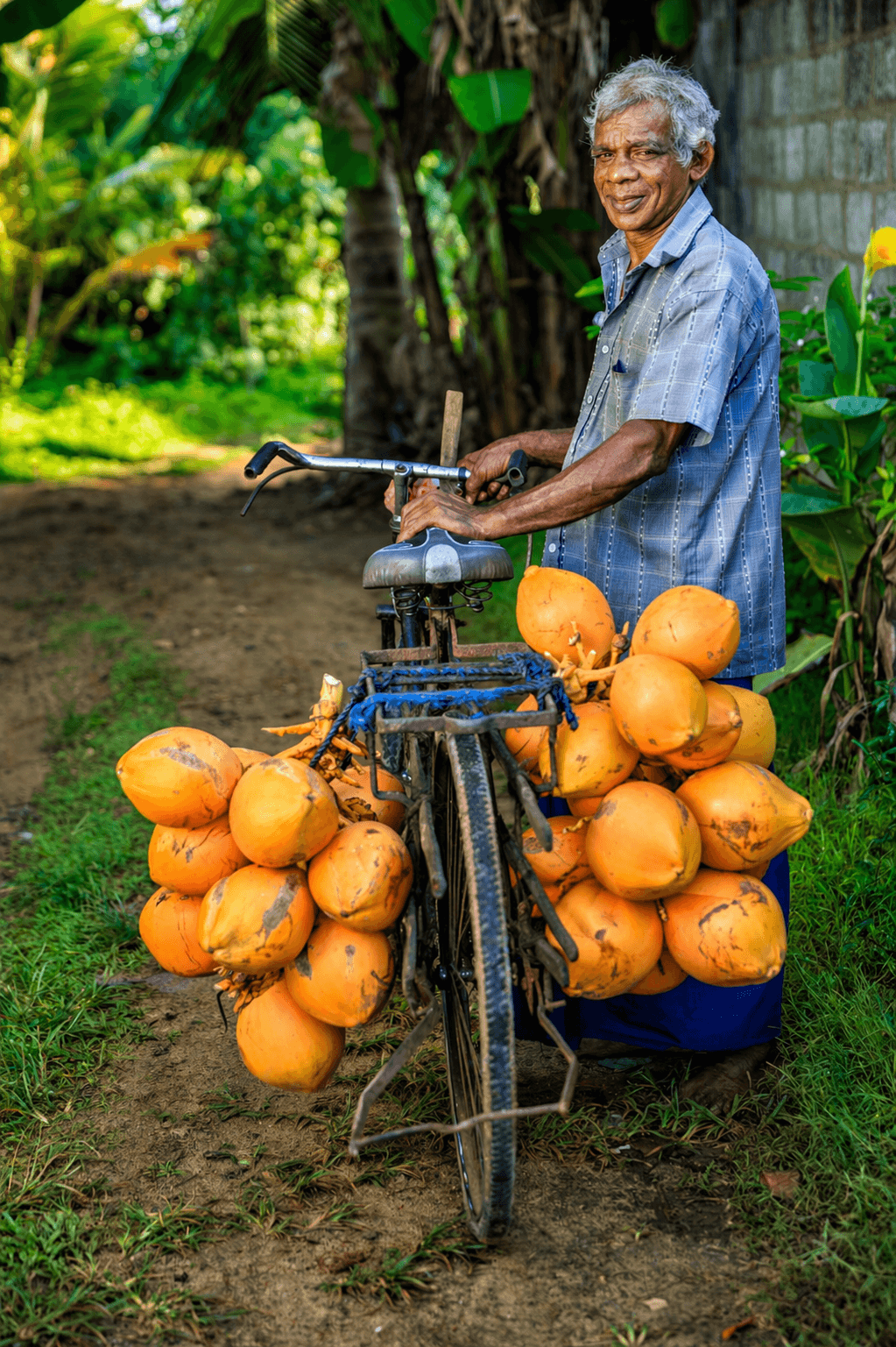 Sustainable farming in Sri Lanka